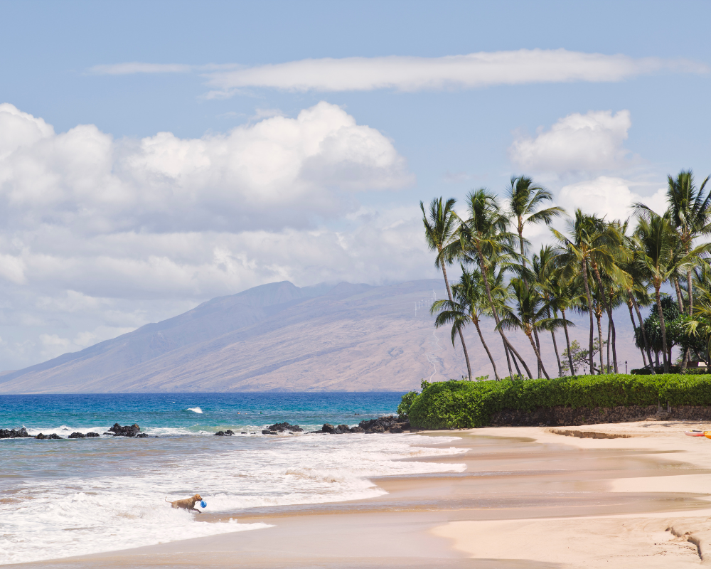 ​Palauea Beach